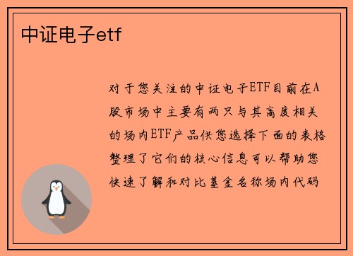 中证电子etf